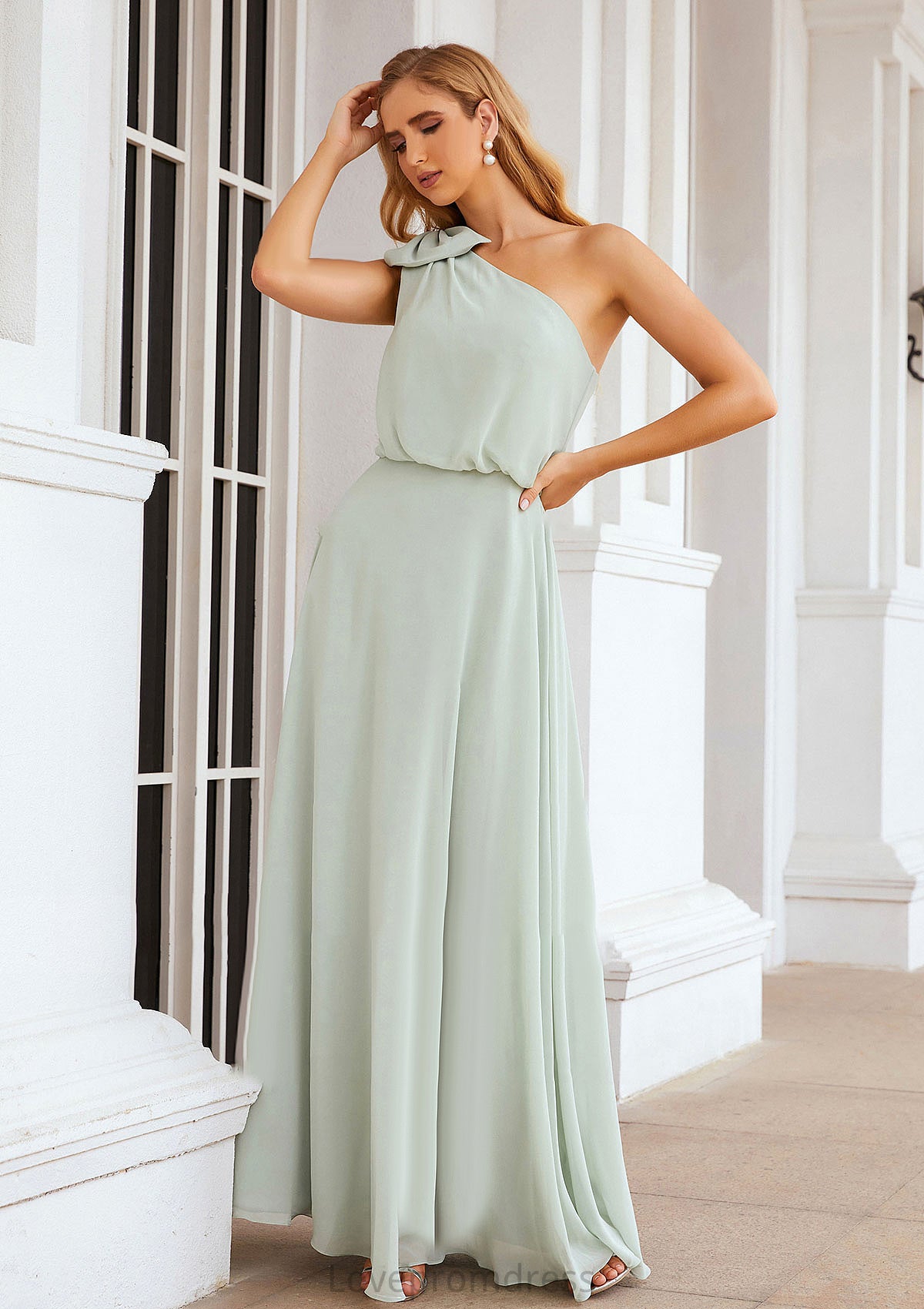 A-line One-Shoulder Sleeveless Long/Floor-Length Chiffon Bridesmaid Dresses With Shoulder Flower Amiah DYP0025369