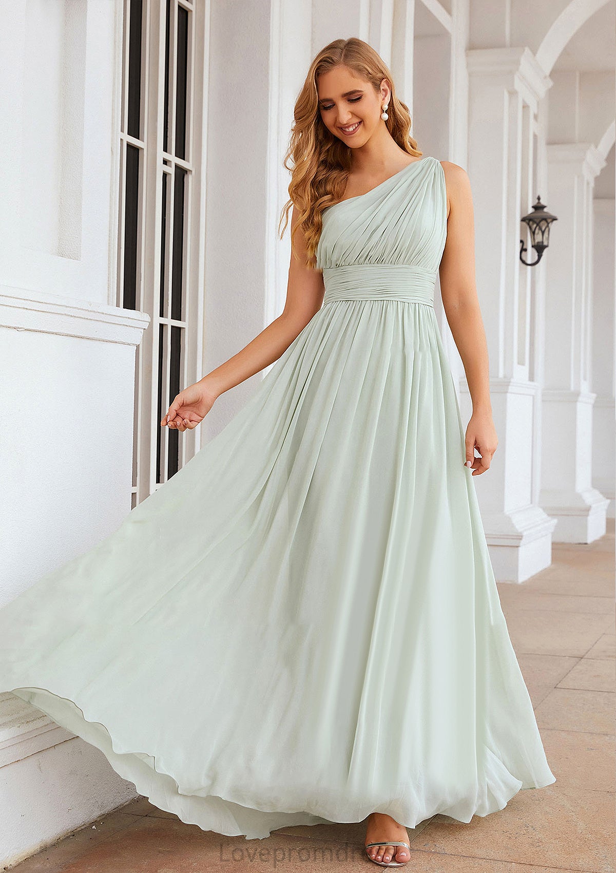 A-line One-Shoulder Sleeveless Chiffon Long/Floor-Length Bridesmaid Dresses With Pleated Grace DYP0025382