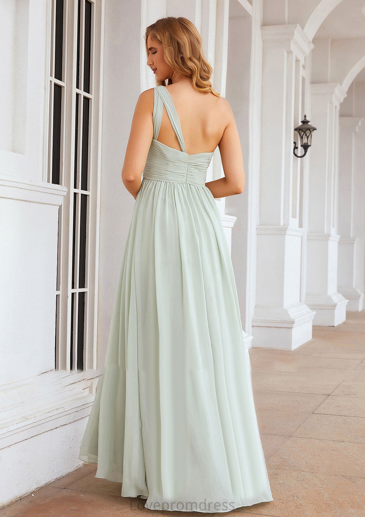 A-line One-Shoulder Sleeveless Chiffon Long/Floor-Length Bridesmaid Dresses With Pleated Grace DYP0025382