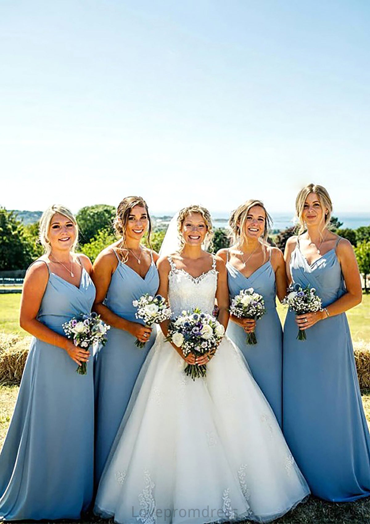 A-line V Neck Sleeveless Court Train Chiffon Bridesmaid Dresses With Pleated Belinda DYP0025419